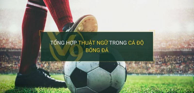 Tổng hợp những thuật ngữ cá cược bóng đá tại Red88